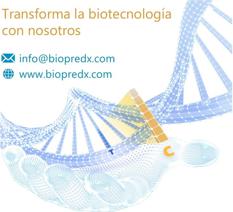 Contacto