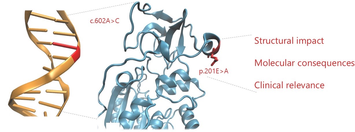 Genetic assessment